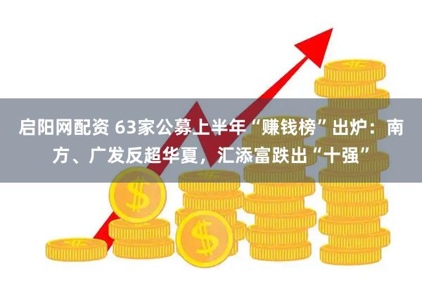 启阳网配资 63家公募上半年“赚钱榜”出炉：南方、广发反超华夏，汇添富跌出“十强”