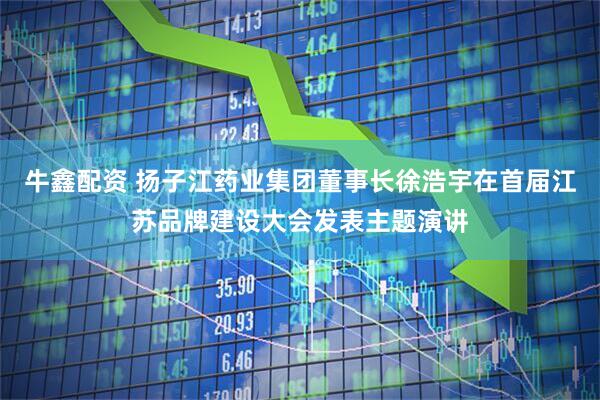 牛鑫配资 扬子江药业集团董事长徐浩宇在首届江苏品牌建设大会发表主题演讲