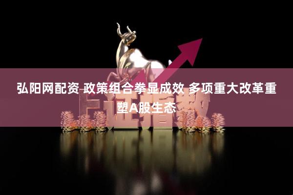 弘阳网配资 政策组合拳显成效&#32;多项重大改革重塑A股生态